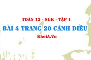 Bài 4 trang 20 Toán 12 tập 1 Cánh Diều